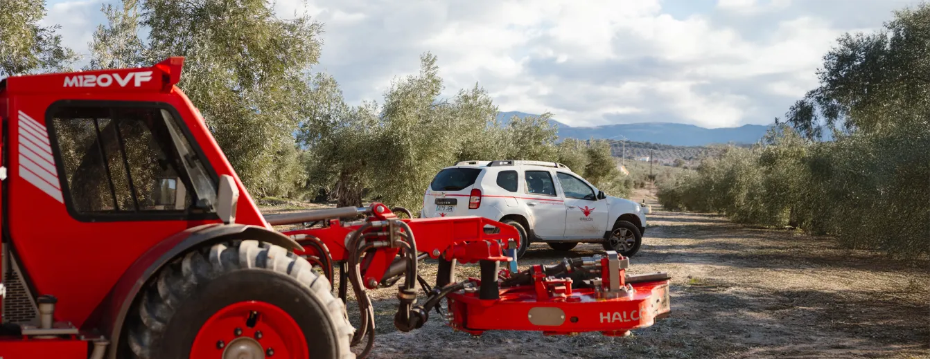 Maquinaria agrícola olivar - Buggy
