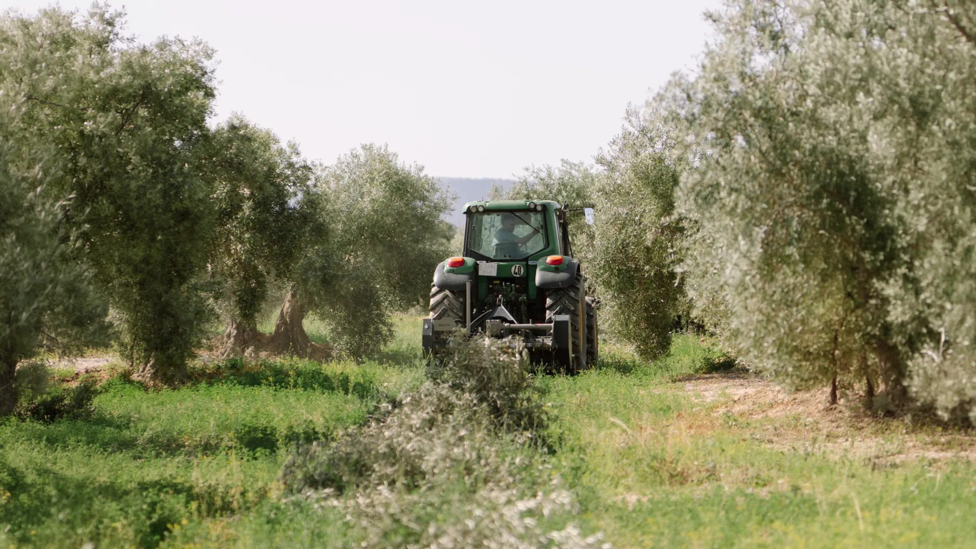 Maquinaria agrícola olivar