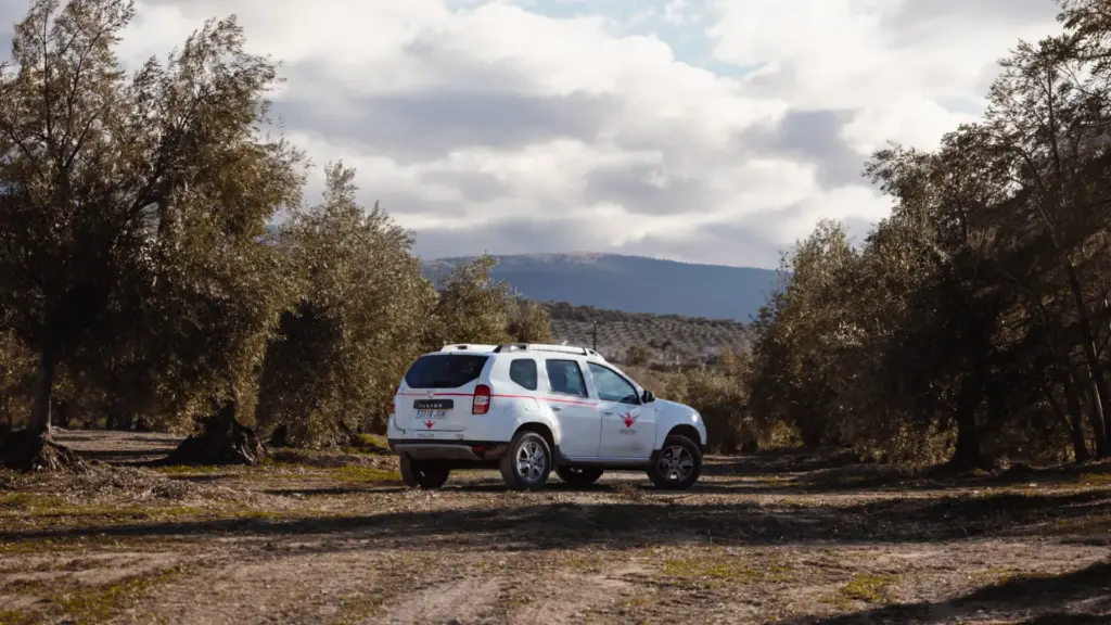 Maquinaria agrícola olivar